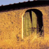 Doorways & Windows